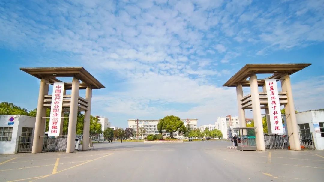 未畢業(yè)就定崗，一畢業(yè)就任教大學&hellip;&hellip;這所職校的學生緣何這么牛？