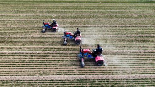 小麥管得怎樣？種子有無保障？農(nóng)機(jī)夠用嗎？