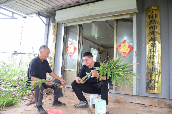 山東泰安&ldquo;五鄉(xiāng)行動&rdquo;構(gòu)筑鄉(xiāng)村振興人才高地