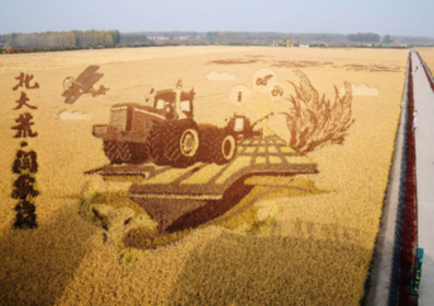 讓每一寸土地充滿希望&mdash;&mdash;北大荒繪就智慧秋收?qǐng)D景