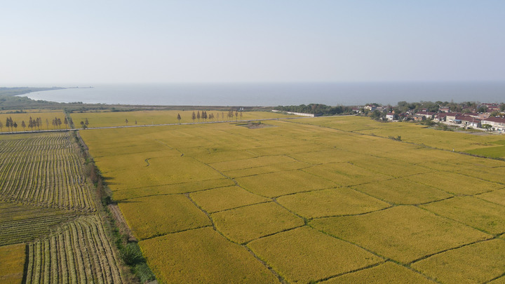 育護&ldquo;農業(yè)芯&rdquo;　打好&ldquo;翻身仗&rdquo;
