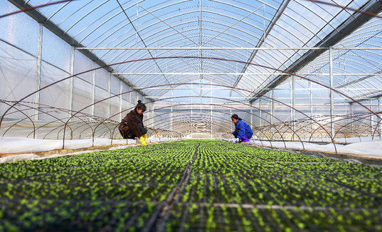 資本進(jìn)村防&ldquo;嗆水&rdquo;　農(nóng)民利益需保障