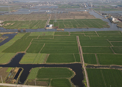 小塊耕地&ldquo;化零為整&rdquo;　種糧降本又增效