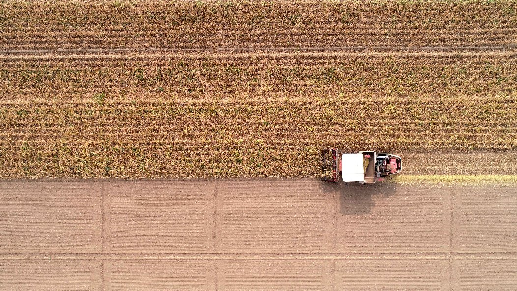 小糧庫(kù)大&ldquo;蠹蟲(chóng)&rdquo;：糧食購(gòu)銷貪腐為何頻頻得手？