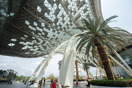 國資央企聚海南　&ldquo;各顯神通&rdquo;逐夢自貿(mào)港