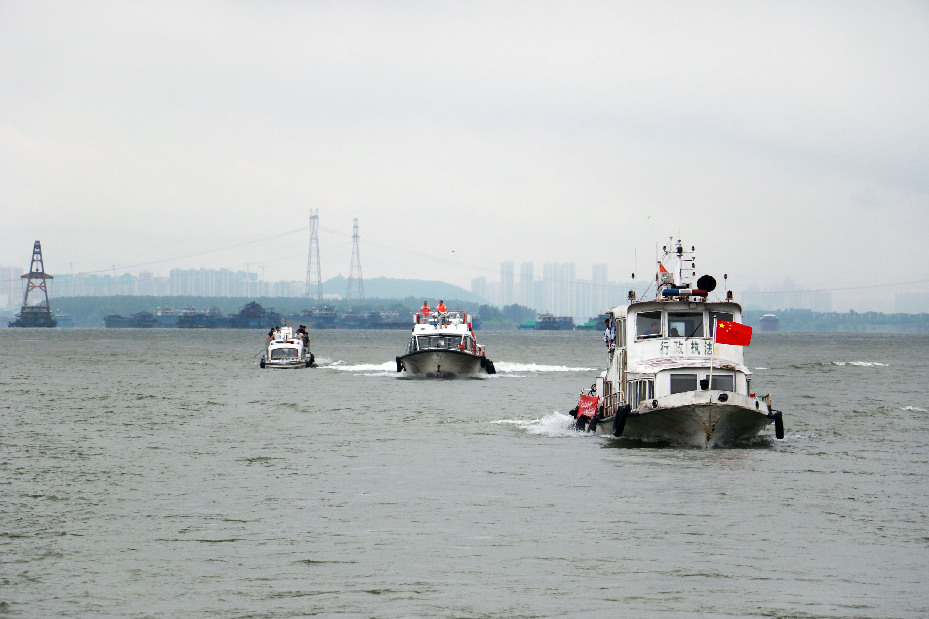 科研&ldquo;特許&rdquo;竟成捕撈&ldquo;特權(quán)&rdquo;？&mdash;&mdash;部分海洋漁業(yè)科研商業(yè)性偷捕調(diào)查