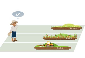 套補(bǔ)貼、無運(yùn)作&ldquo;空殼合作社&rdquo;頻現(xiàn)