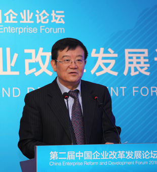 徐樂江：發(fā)展混合所有制經(jīng)濟(jì)是激發(fā)新動(dòng)能的重要抓手