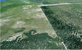 部分草原保護項目竟變&ldquo;生態(tài)殺手&rdquo;