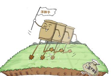 國產(chǎn)種業(yè)緣何難育創(chuàng)新&ldquo;種&rdquo;