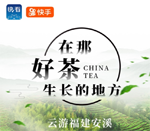 福建：安溪攜手新華社&ldquo;快看&rdquo;開展&ldquo;在那好茶生長的地方&rdquo;主題直播活動